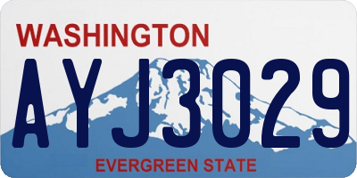 WA license plate AYJ3029