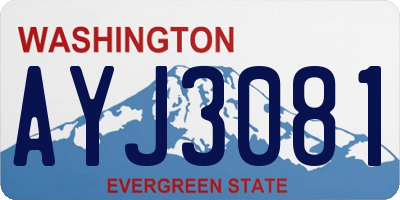WA license plate AYJ3081