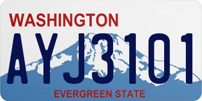 WA license plate AYJ3101