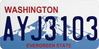 WA license plate AYJ3103