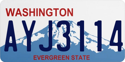 WA license plate AYJ3114