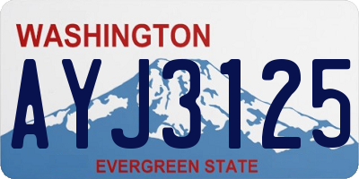 WA license plate AYJ3125