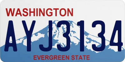 WA license plate AYJ3134
