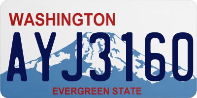 WA license plate AYJ3160