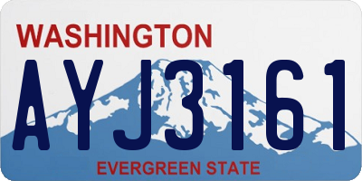 WA license plate AYJ3161