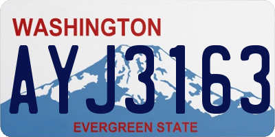 WA license plate AYJ3163