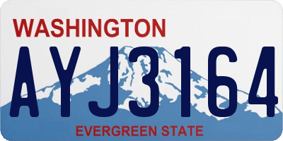 WA license plate AYJ3164