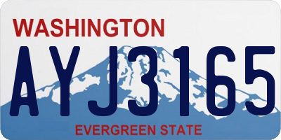 WA license plate AYJ3165