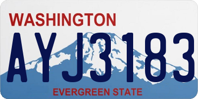 WA license plate AYJ3183