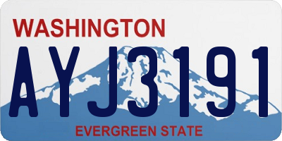 WA license plate AYJ3191