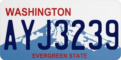 WA license plate AYJ3239