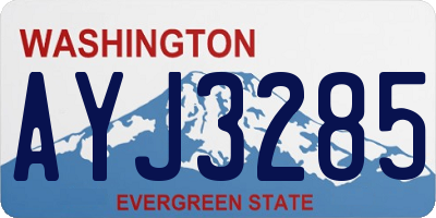 WA license plate AYJ3285