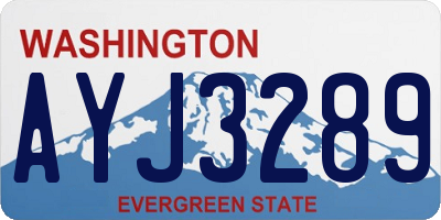 WA license plate AYJ3289