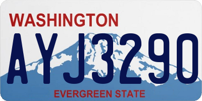 WA license plate AYJ3290