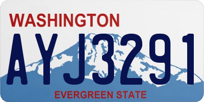 WA license plate AYJ3291