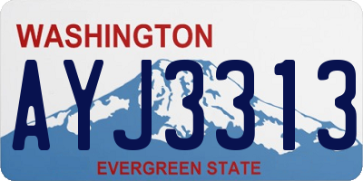 WA license plate AYJ3313