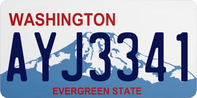 WA license plate AYJ3341