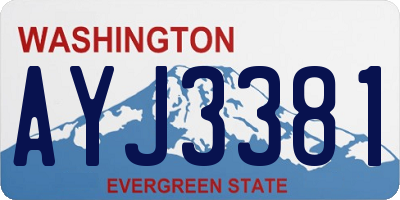 WA license plate AYJ3381