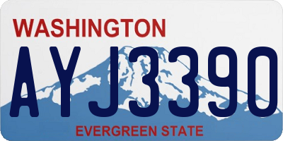 WA license plate AYJ3390