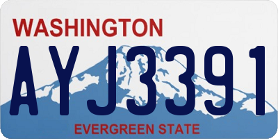 WA license plate AYJ3391