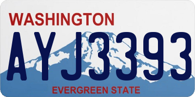 WA license plate AYJ3393