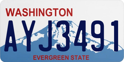 WA license plate AYJ3491