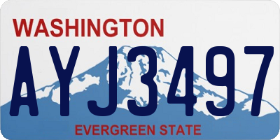 WA license plate AYJ3497