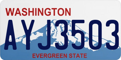 WA license plate AYJ3503