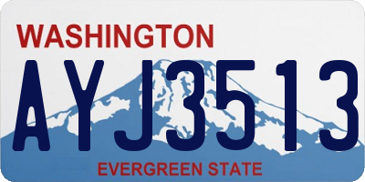 WA license plate AYJ3513