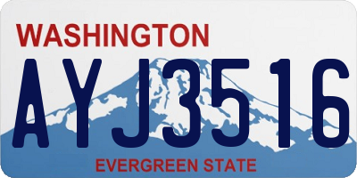 WA license plate AYJ3516