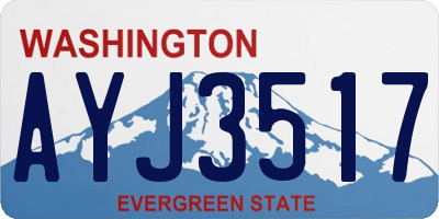 WA license plate AYJ3517
