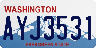 WA license plate AYJ3531
