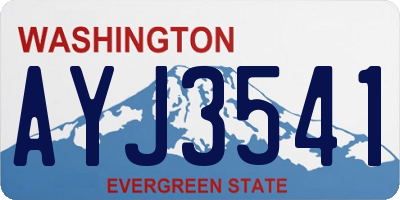 WA license plate AYJ3541