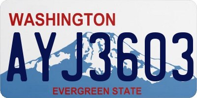 WA license plate AYJ3603
