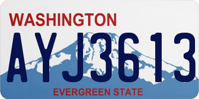 WA license plate AYJ3613