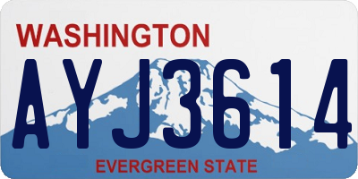 WA license plate AYJ3614