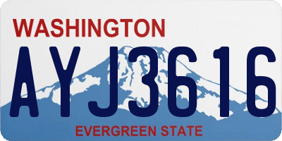 WA license plate AYJ3616