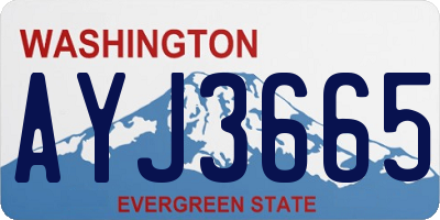 WA license plate AYJ3665