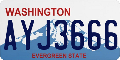 WA license plate AYJ3666