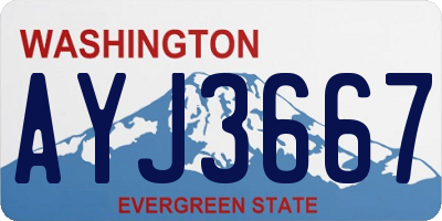 WA license plate AYJ3667