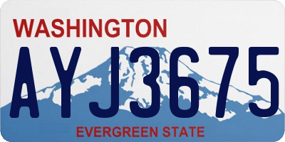 WA license plate AYJ3675