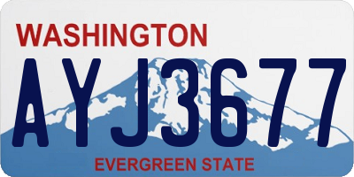 WA license plate AYJ3677