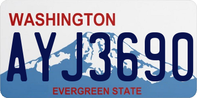 WA license plate AYJ3690