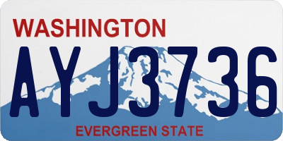 WA license plate AYJ3736