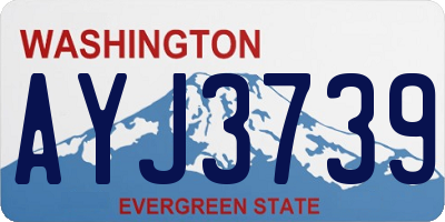 WA license plate AYJ3739