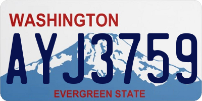 WA license plate AYJ3759