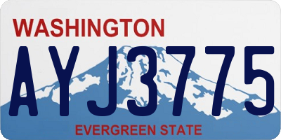 WA license plate AYJ3775