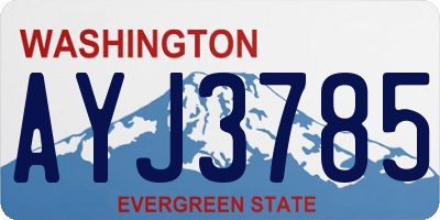 WA license plate AYJ3785