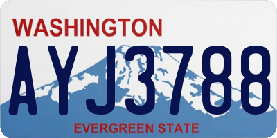 WA license plate AYJ3788