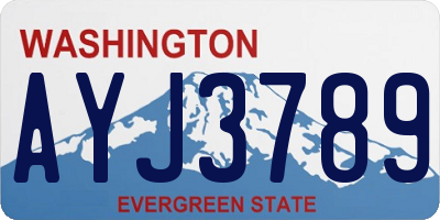 WA license plate AYJ3789